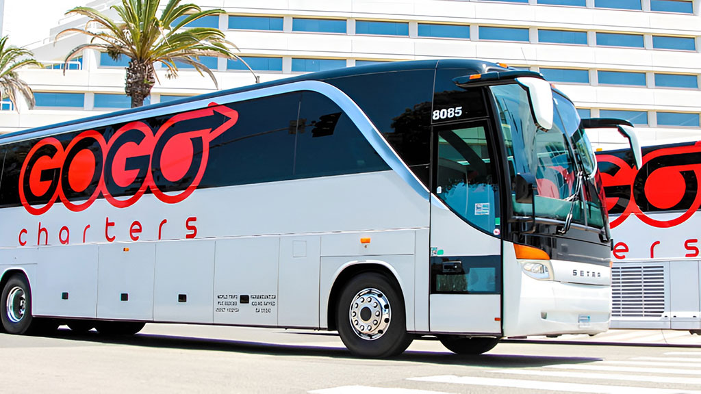A fleet of GOGO Charters buses ready for service.